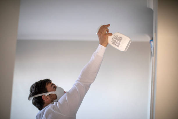 Best Office Mold Removal Services  in West Hills, NY