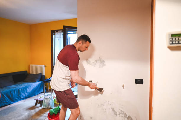 Crawl Space Mold Removal in West Hills, NY